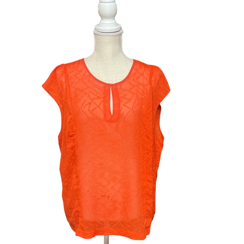 GAP‎ sheer top